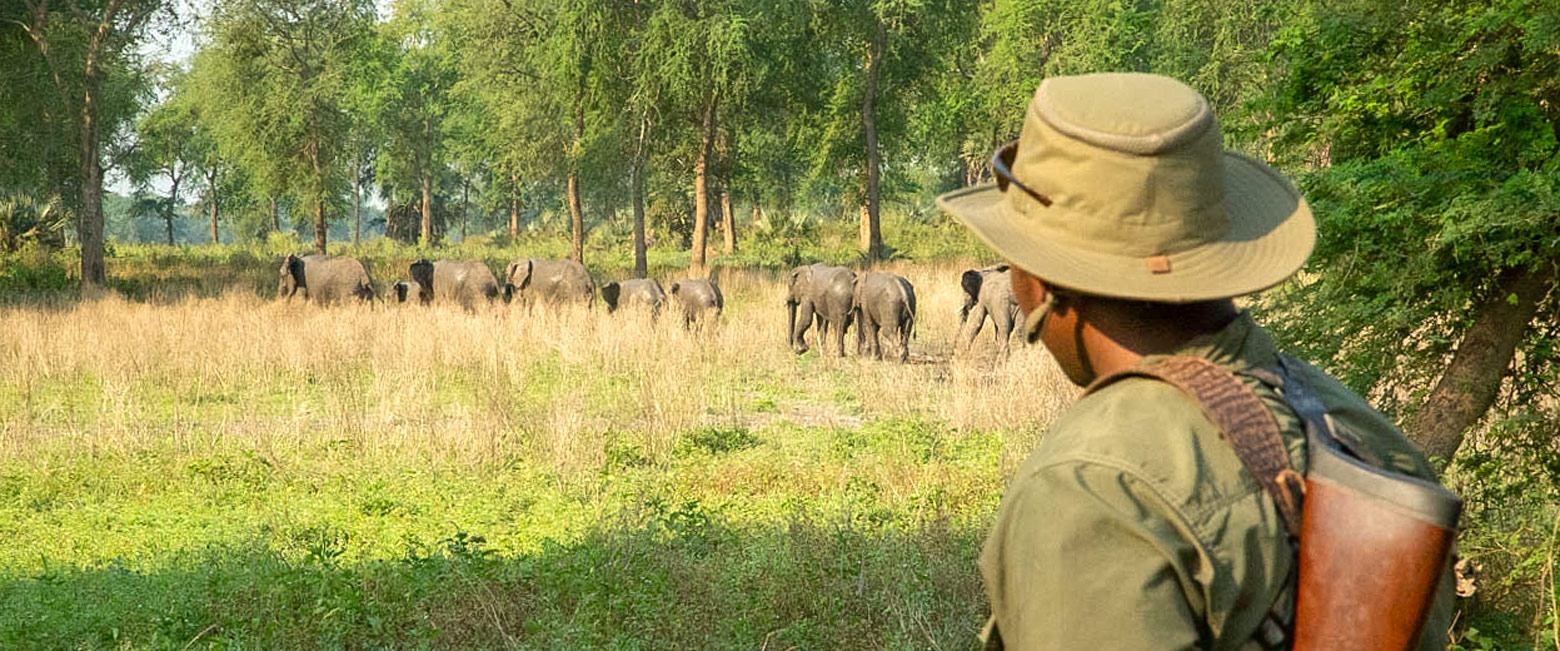 is a major rehabilitation project in central Mozambique 