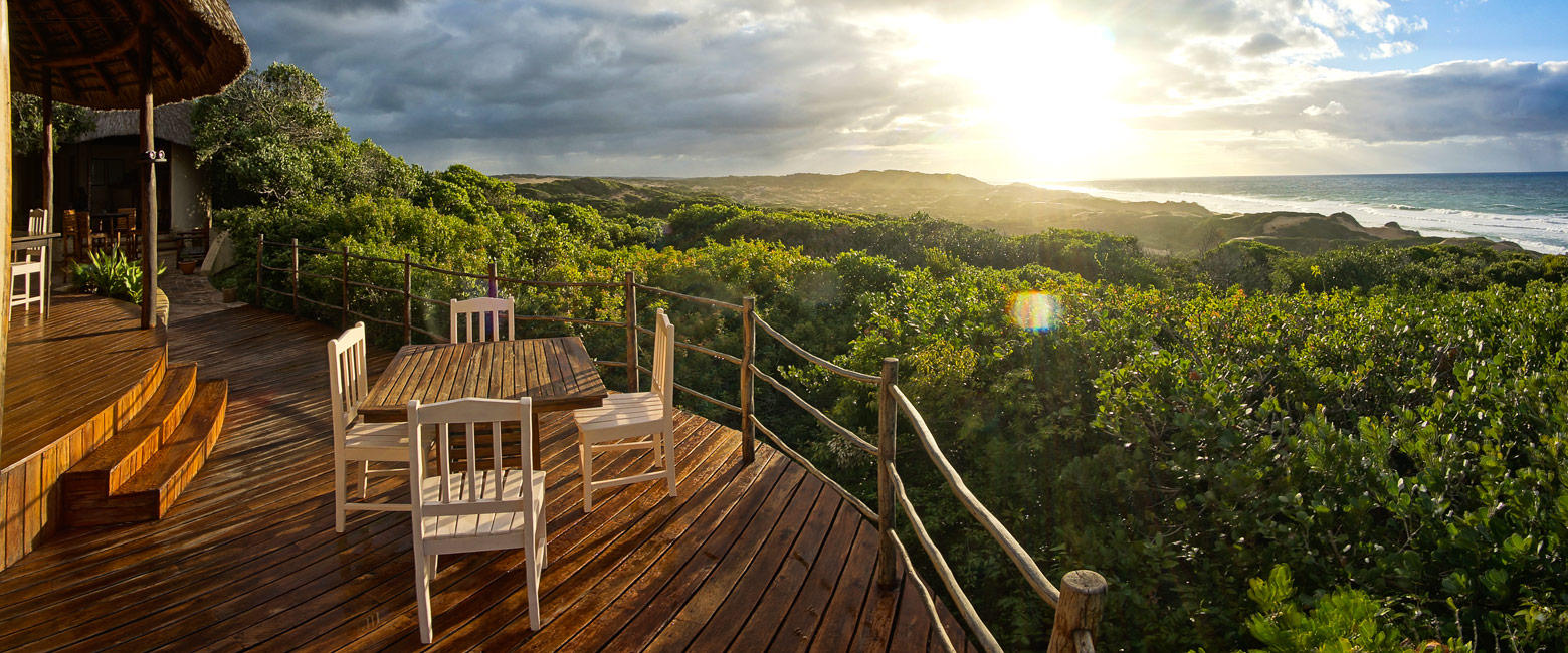let us know your thoughts about Mozambique and we will help you create the perfect safari 