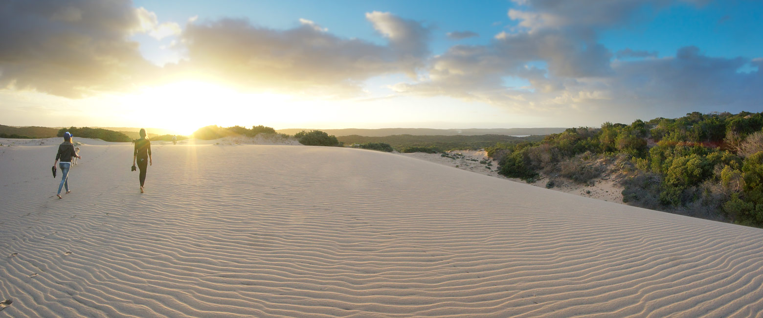 let us know your thoughts about Mozambique and we will make sure to deliver the perfect safari 