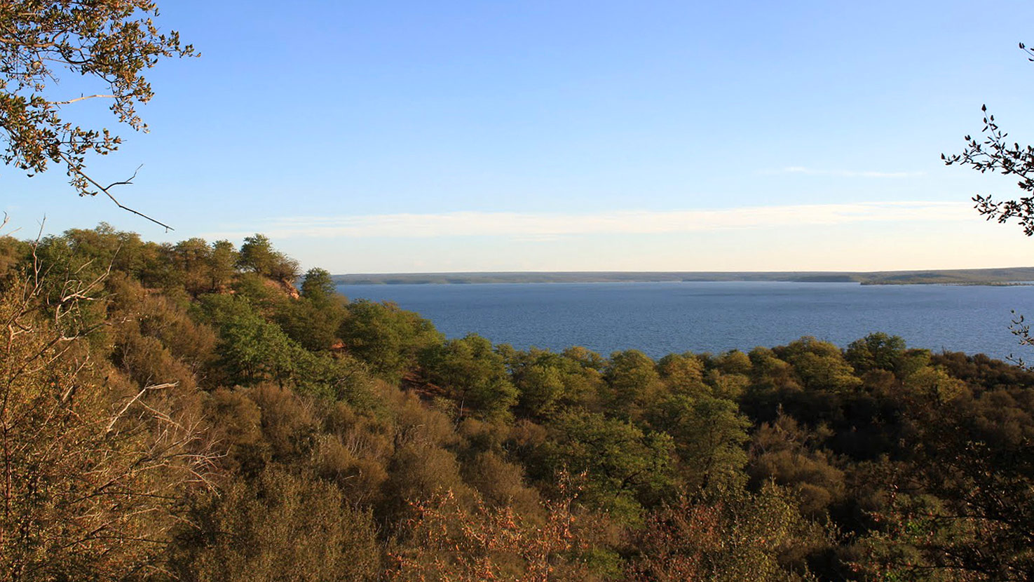 Safari to Limpopo Reserve