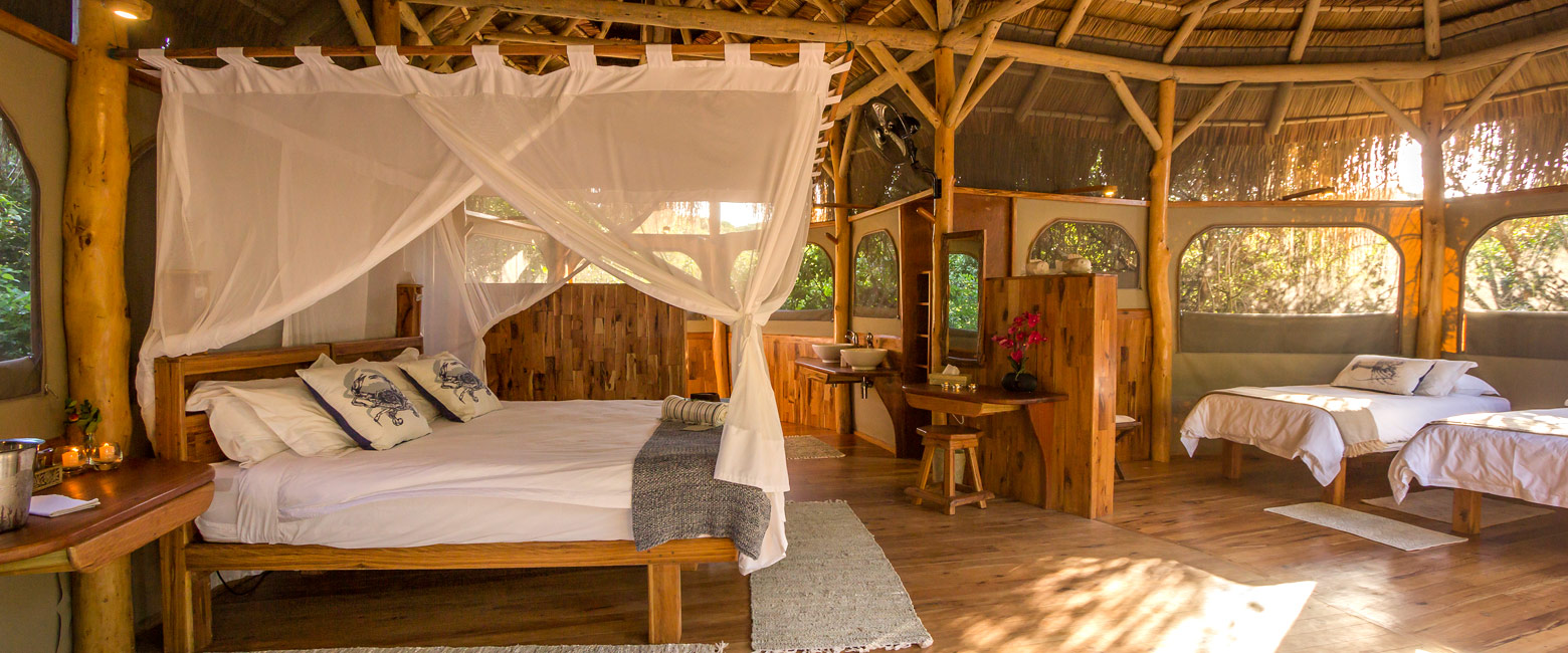 is a cool beach lodge in the Maputo Elephant Reserve 