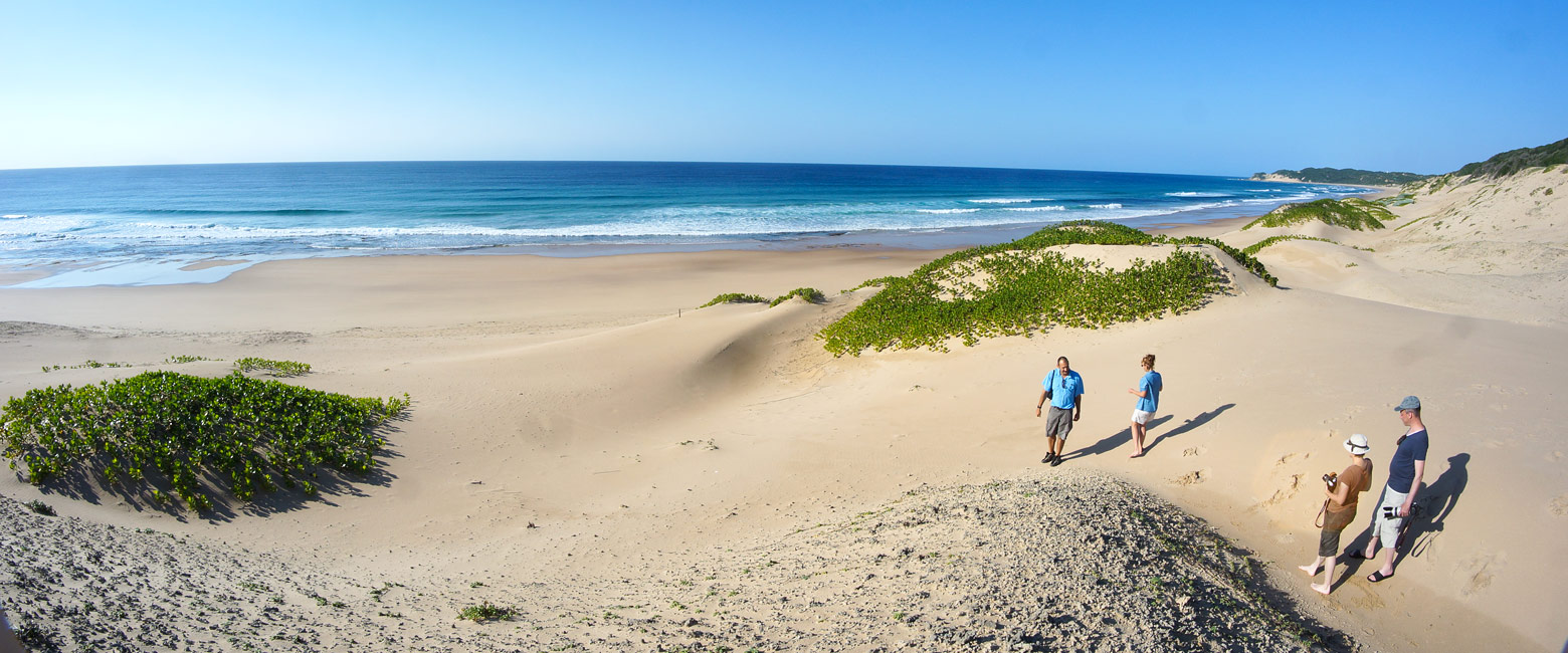 let us know your thoughts about Mozambique and we will help you create the perfect safari