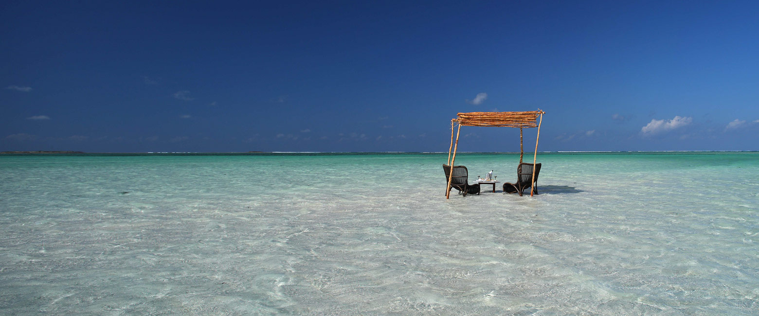 let us know your thoughts about Mozambique and we will help you create the perfect safari