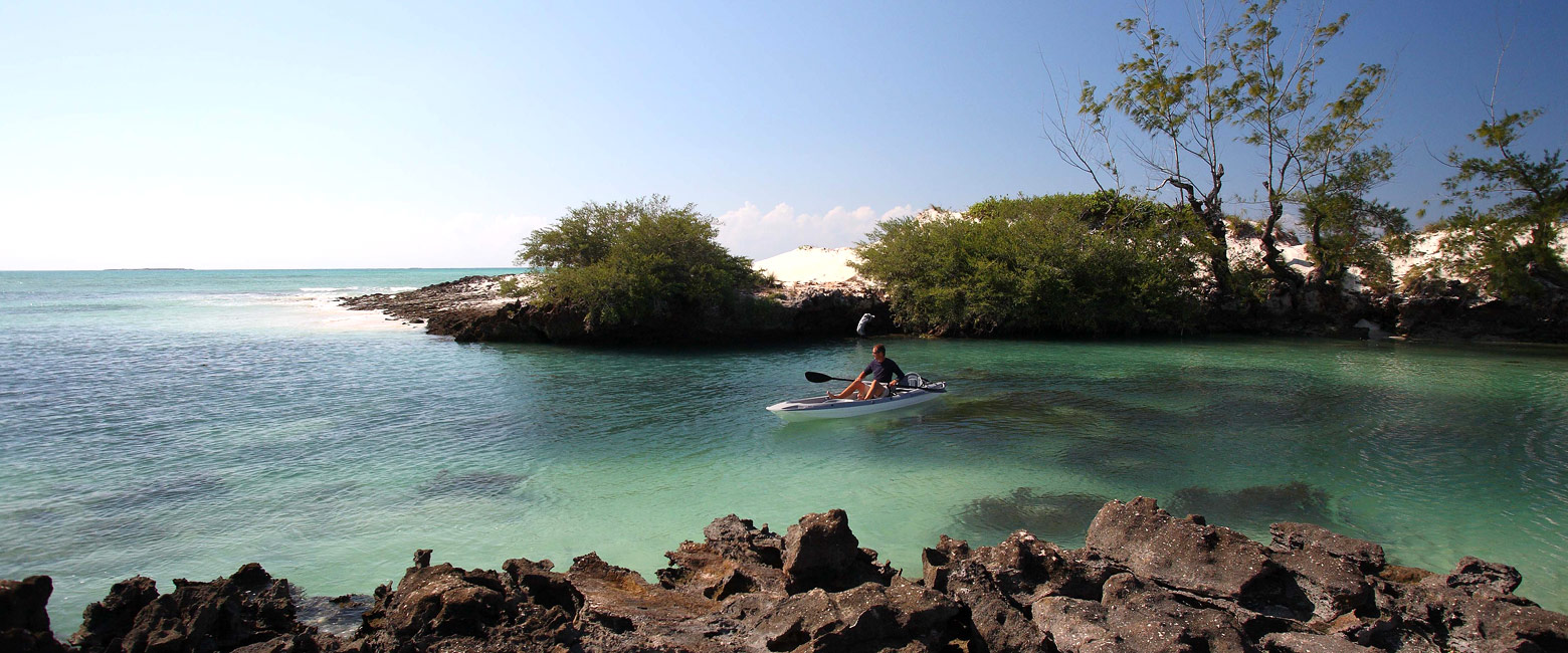 let us know your thoughts about Mozambique and we will help you create the perfect safari