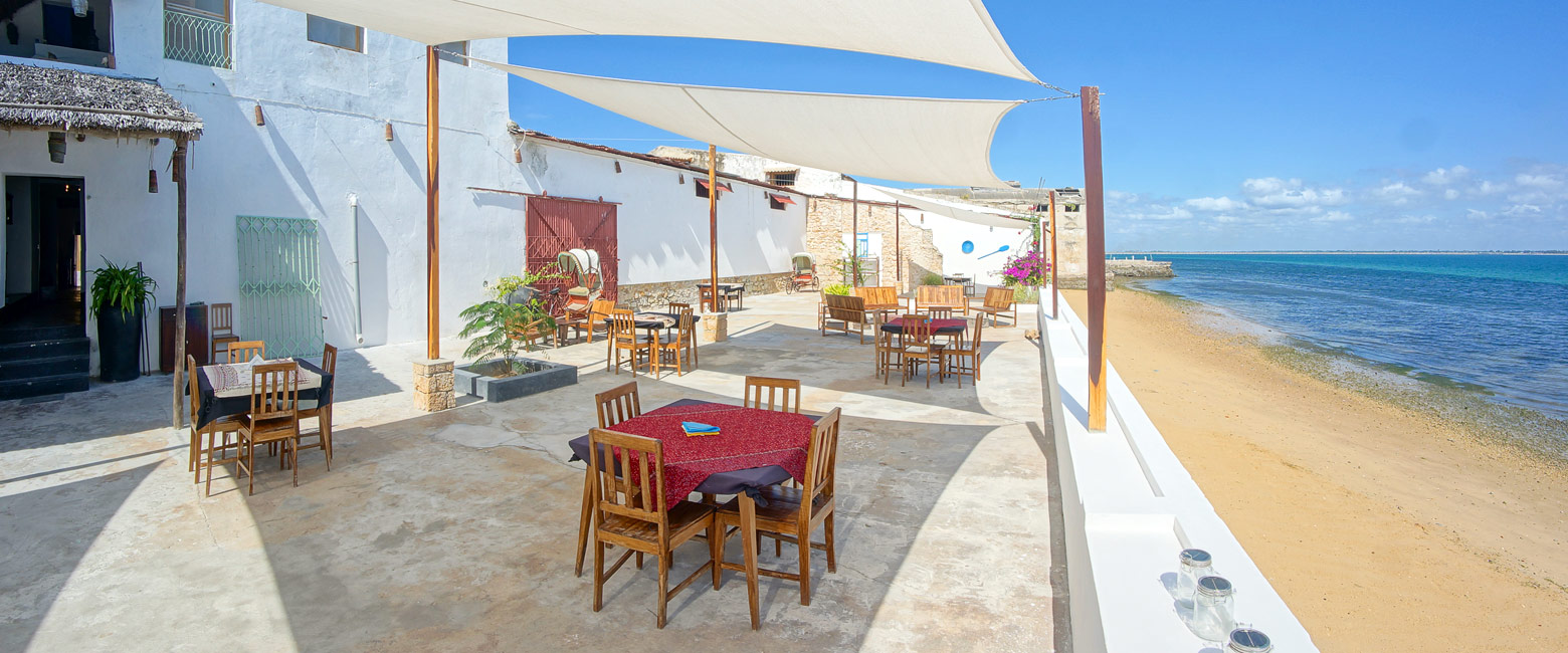 let us know your thoughts about Mozambique and we will help you create the perfect safari 