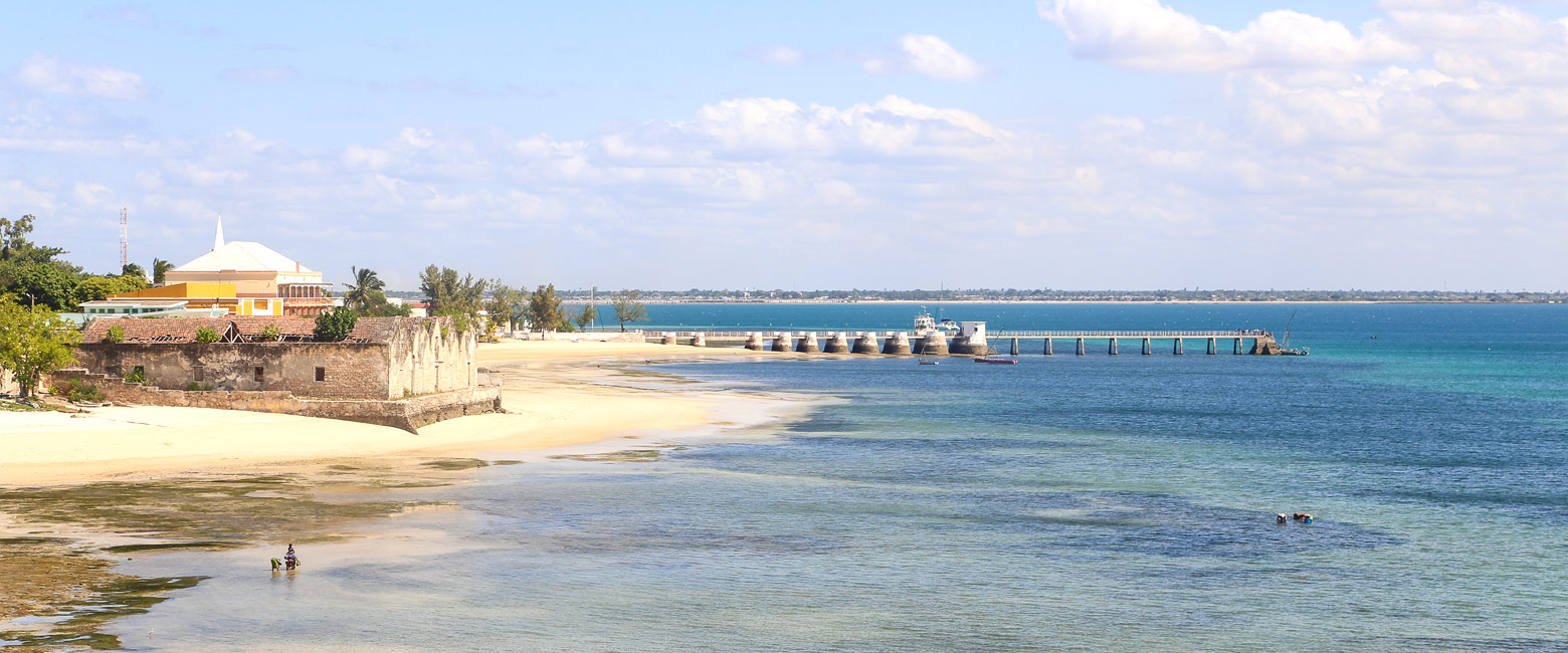 let us know your thoughts about Mozambique and we will make sure to deliver the perfect safari