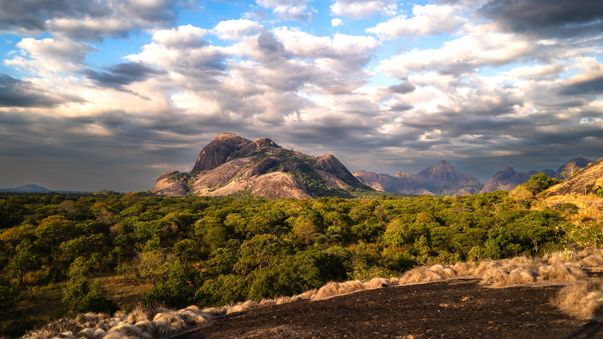 Safari to Niassa