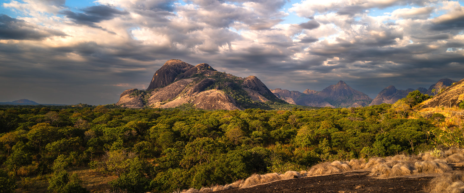 let us know your thoughts about Mozambique and we will make sure to deliver the perfect safari 