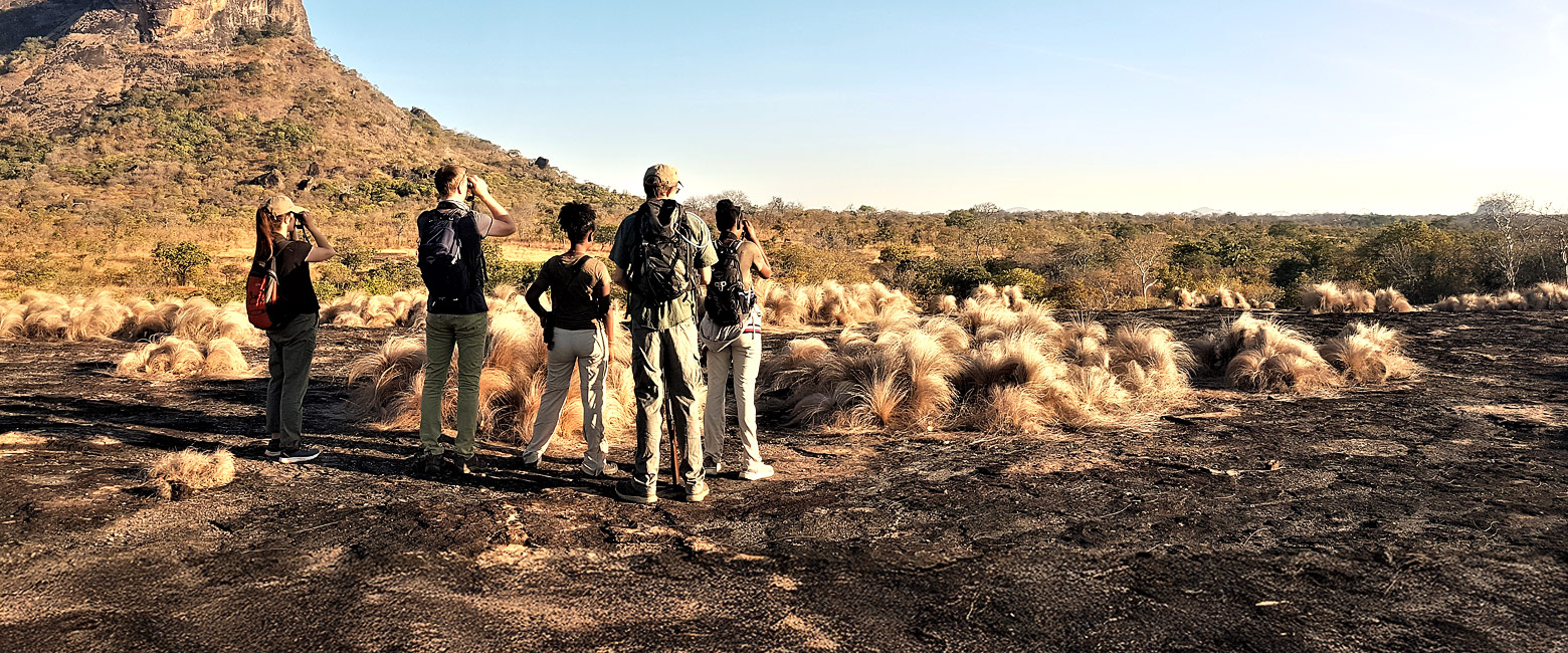 let us know your thoughts about Mozambique and we will help you create the perfect safari 