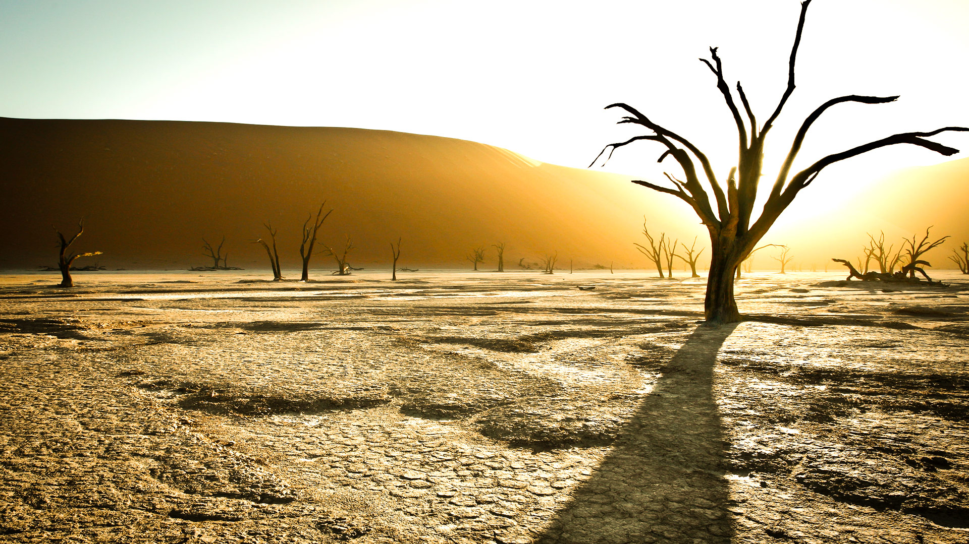 Safari in Namibia