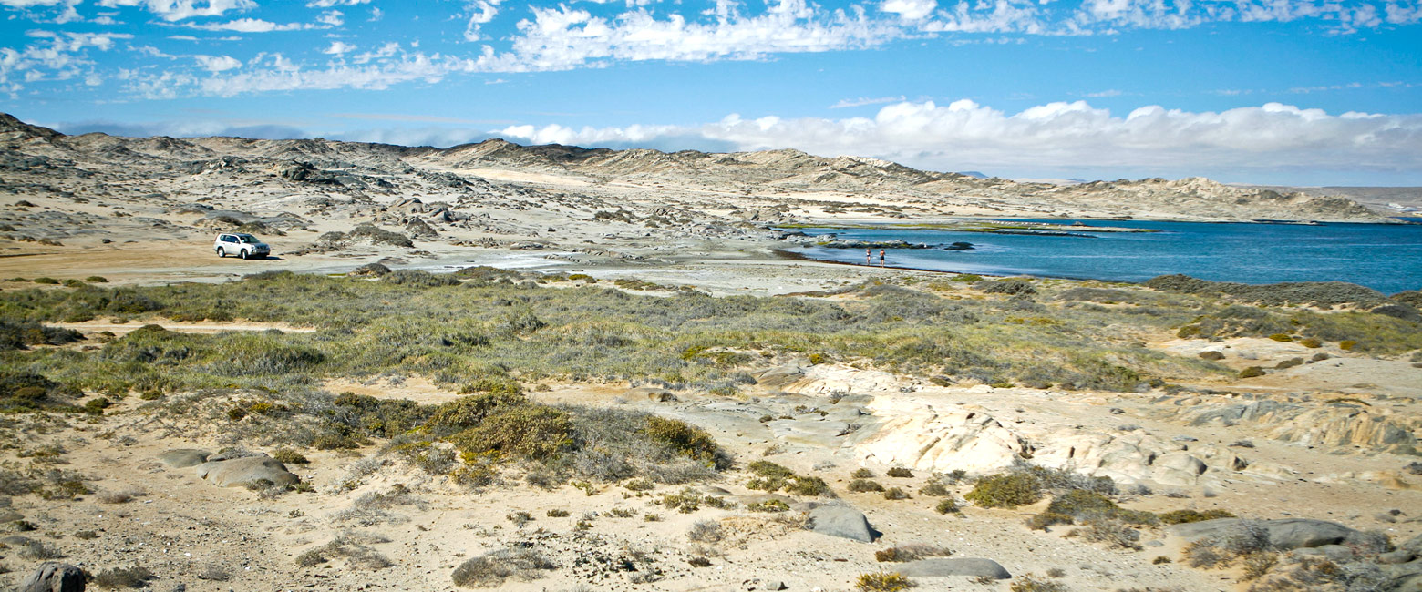 let us know your thoughts about Namibia and we will help you create the perfect safari 