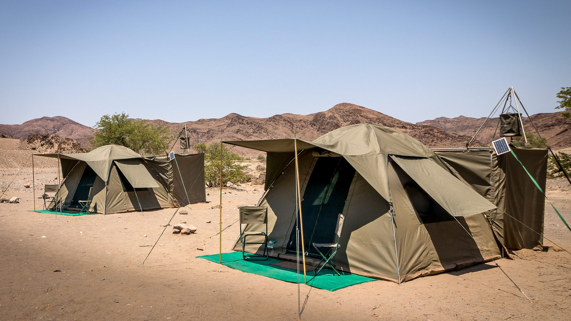 Desert Lion Bivouac