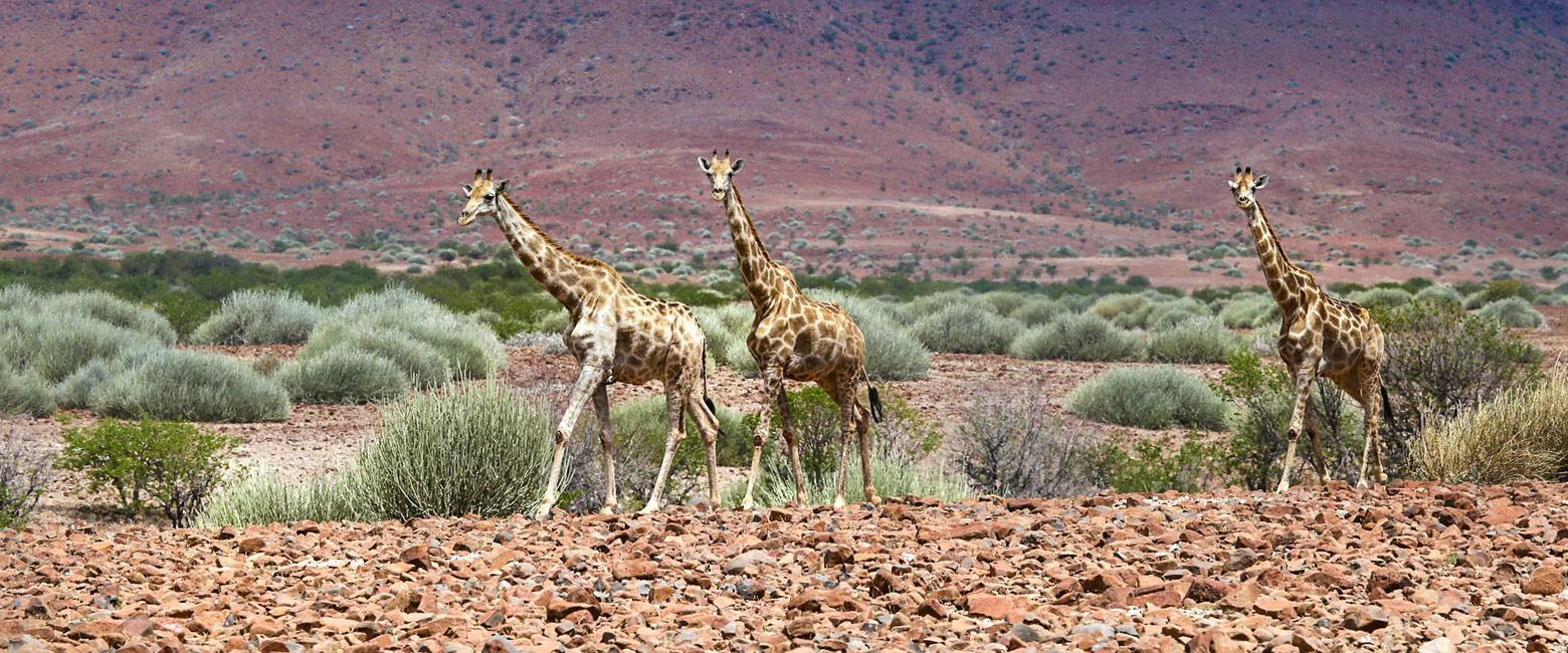 is a remote outpost in the Damaraland area of Namibia 