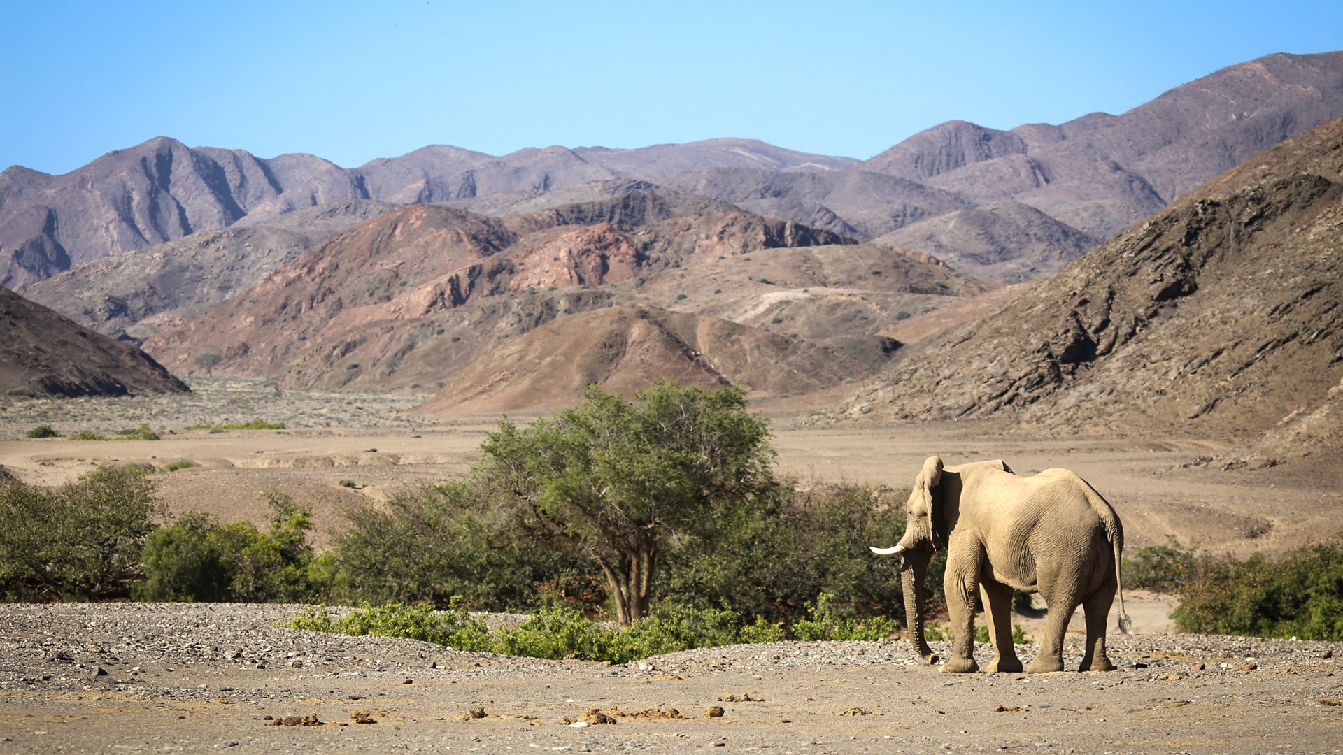 Hoanib Elephant Camp