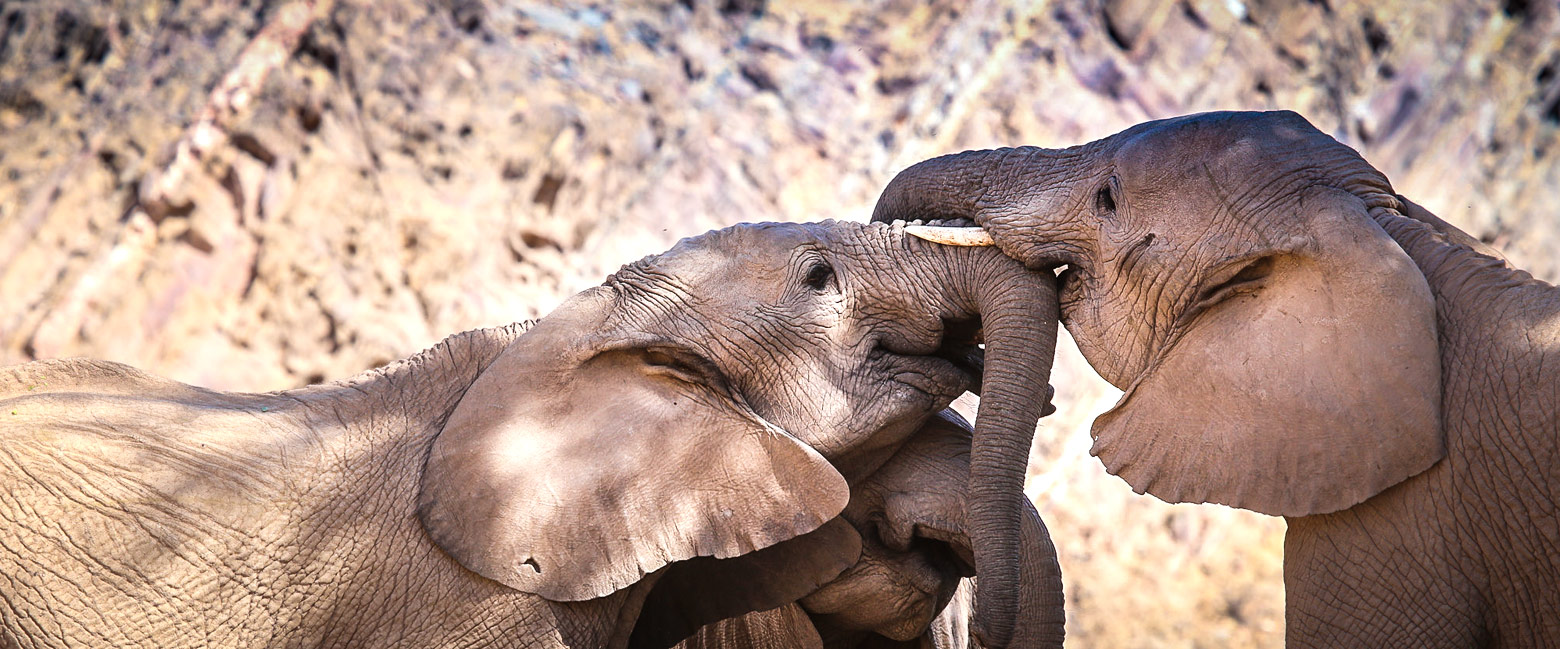 is a genuinely remote outpost in the Damaraland area