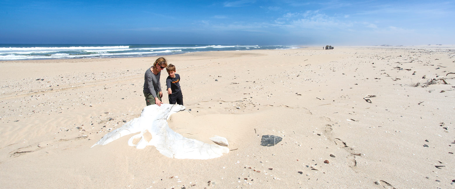 let us know your thoughts about Namibia and we will help you create the perfect safari