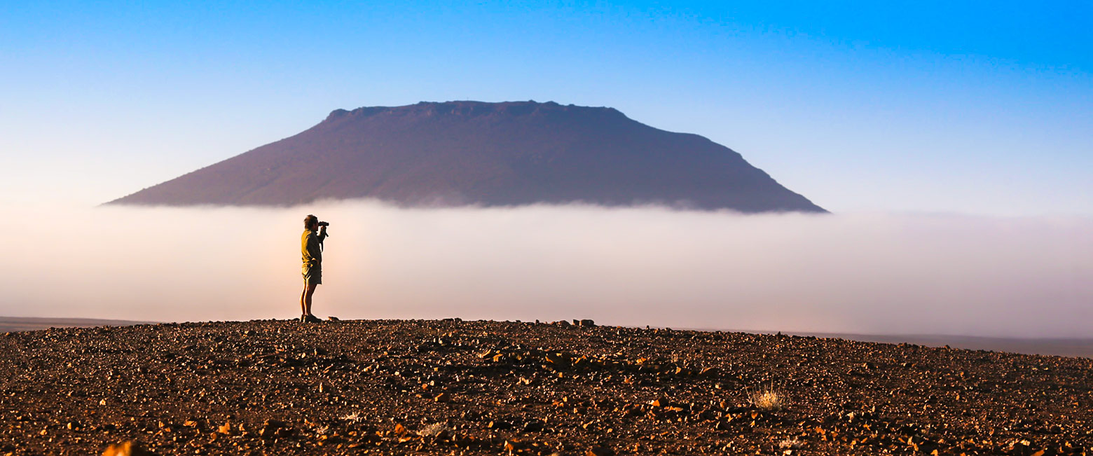 let us know your thoughts about Namibia and we will help you create the perfect safari 
