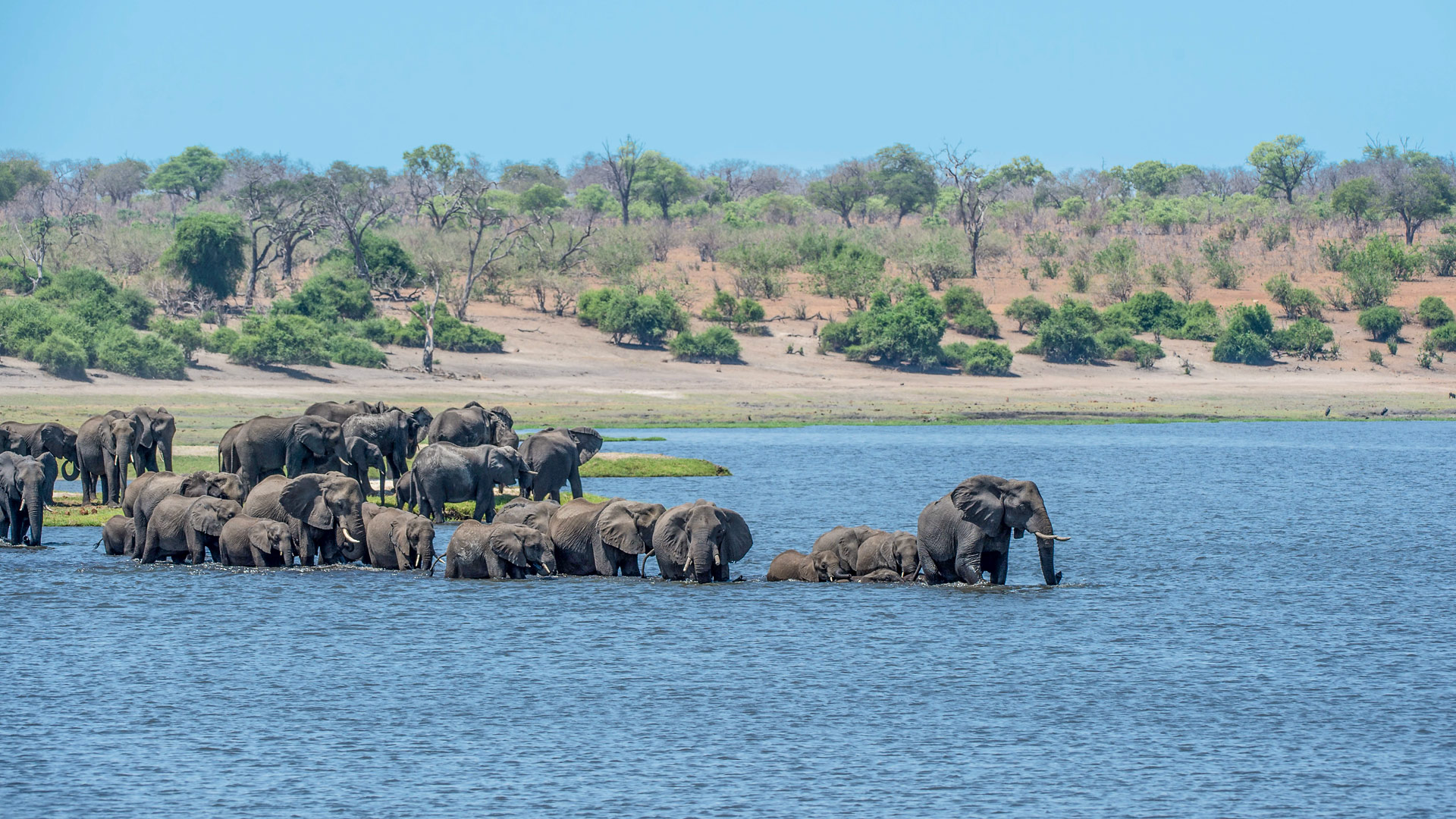 Safari to Caprivi Eastern Tip