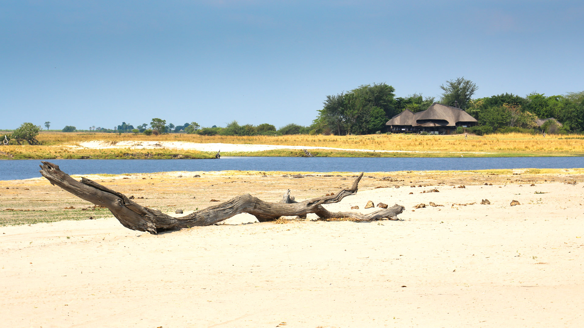 Chobe Savanna Lodge