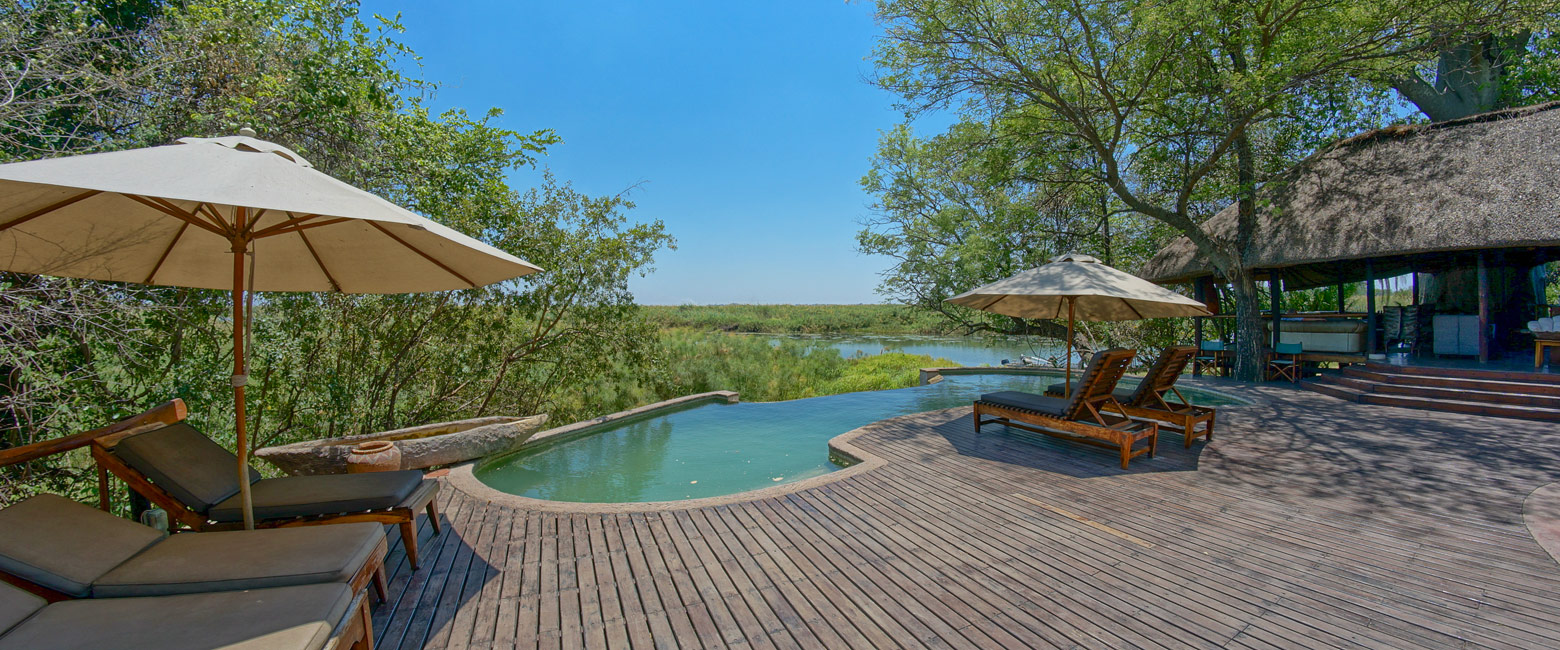 let us know your thoughts about Namibia and we will make sure to deliver the perfect safari 