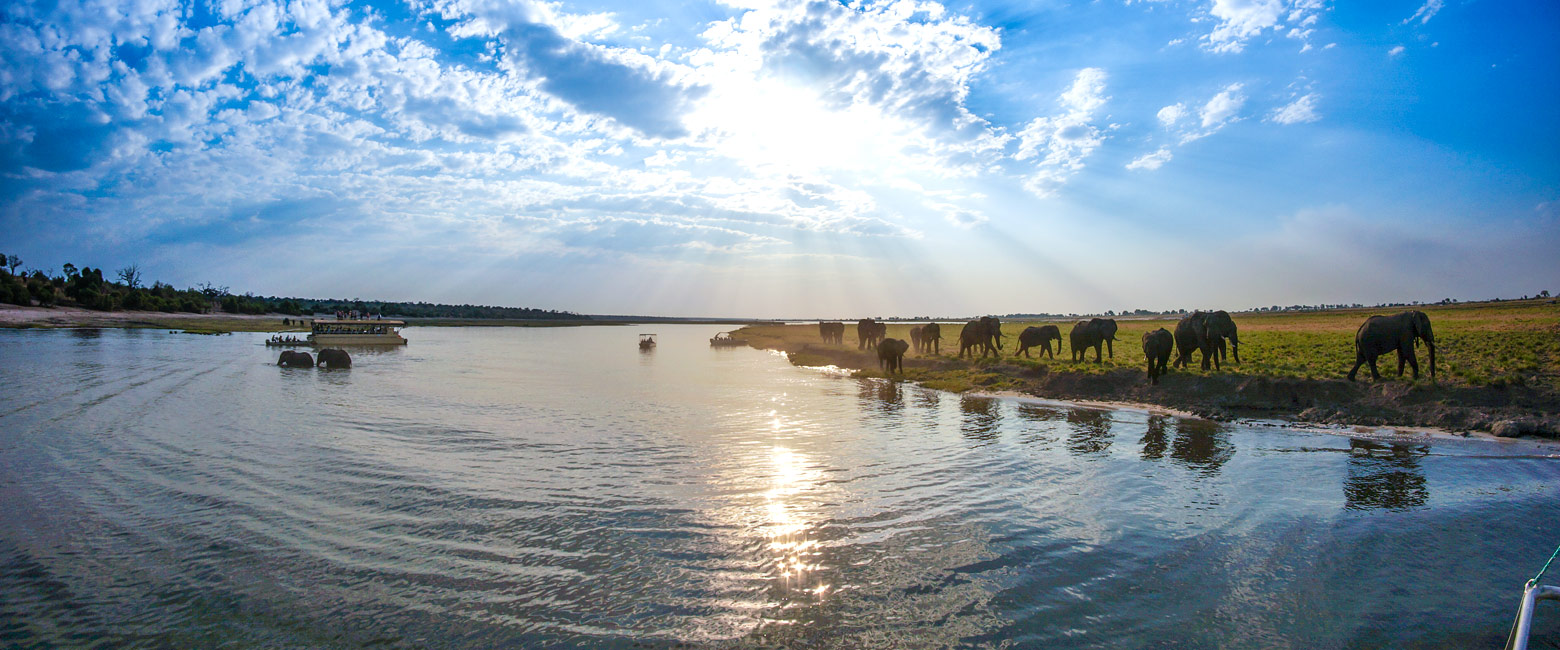 let us know your thoughts about Namibia and we will help you create the perfect safari 
