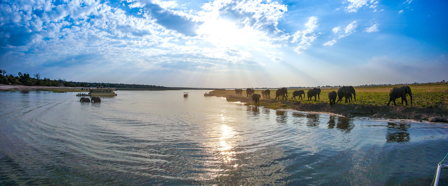 let us know your thoughts about Namibia and we will help you create the perfect safari
