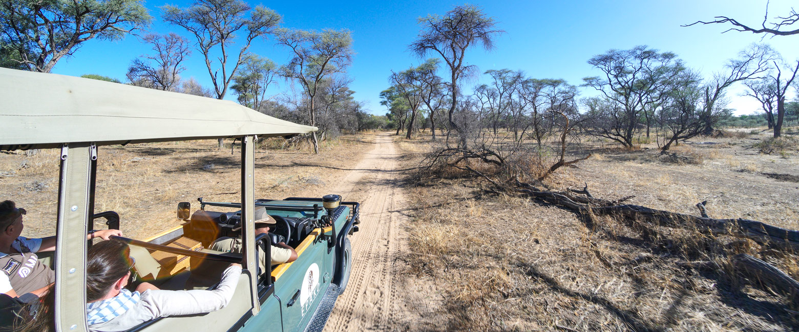 let us know your thoughts about Namibia and we will help you create the perfect safari