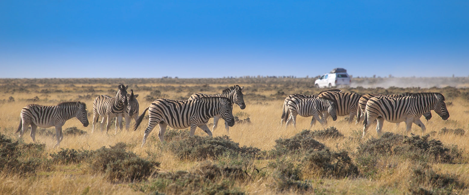 is the most disappointing wildlife reserve in Africa 