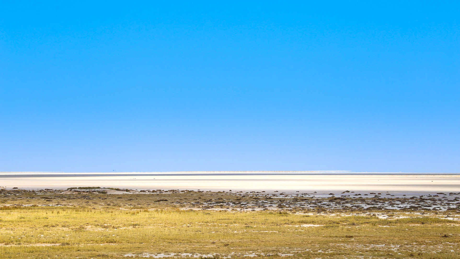 Safari in Etosha Central