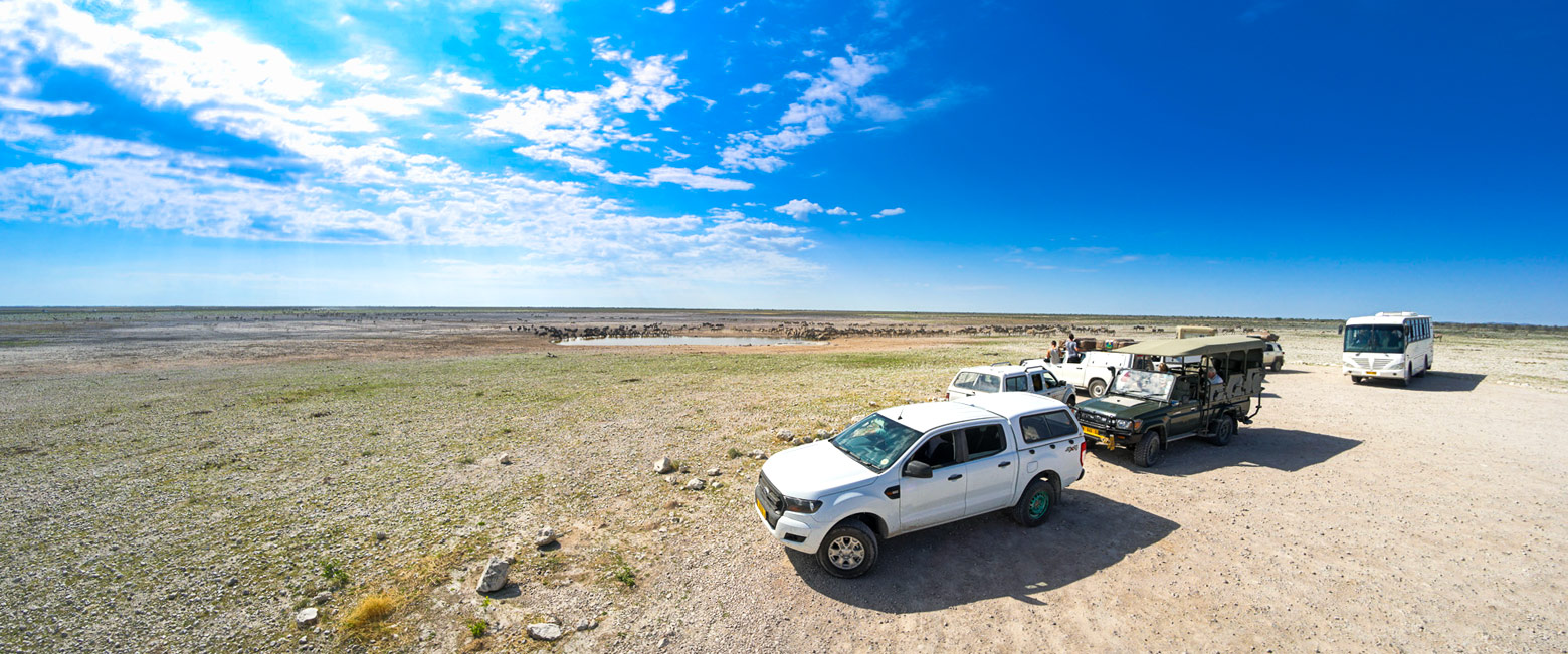 let us know your thoughts about Namibia and we will help you create the perfect safari