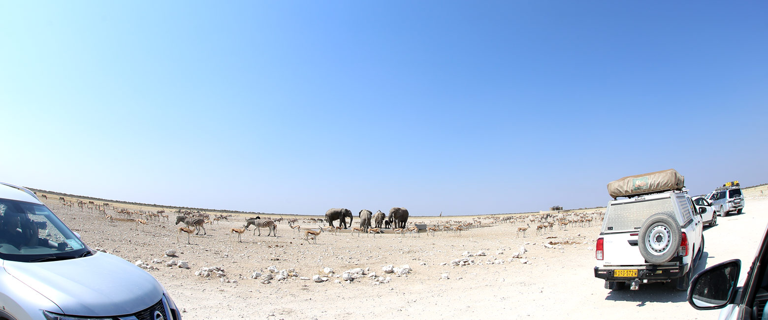 let us know your thoughts about Namibia and we will help you create the perfect safari