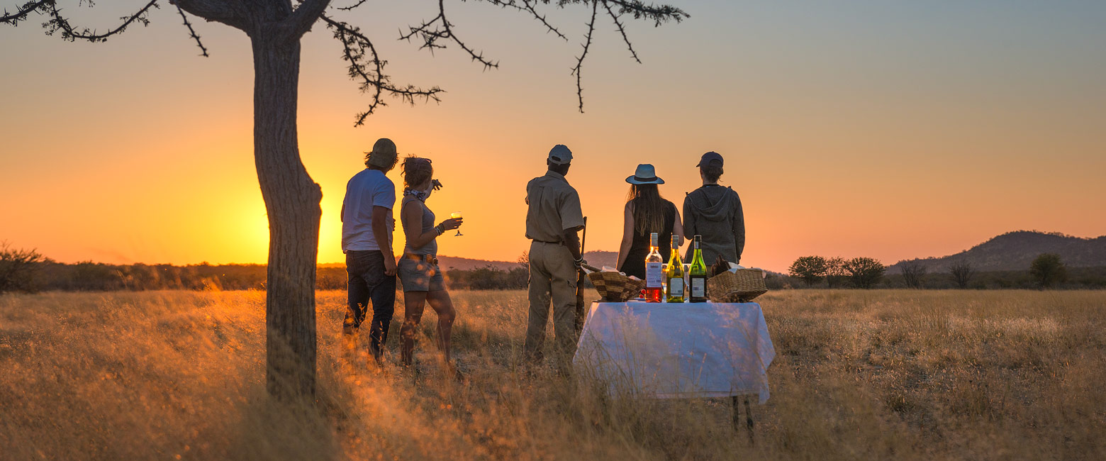 let us know your thoughts about Namibia and we will help you create the perfect safari 