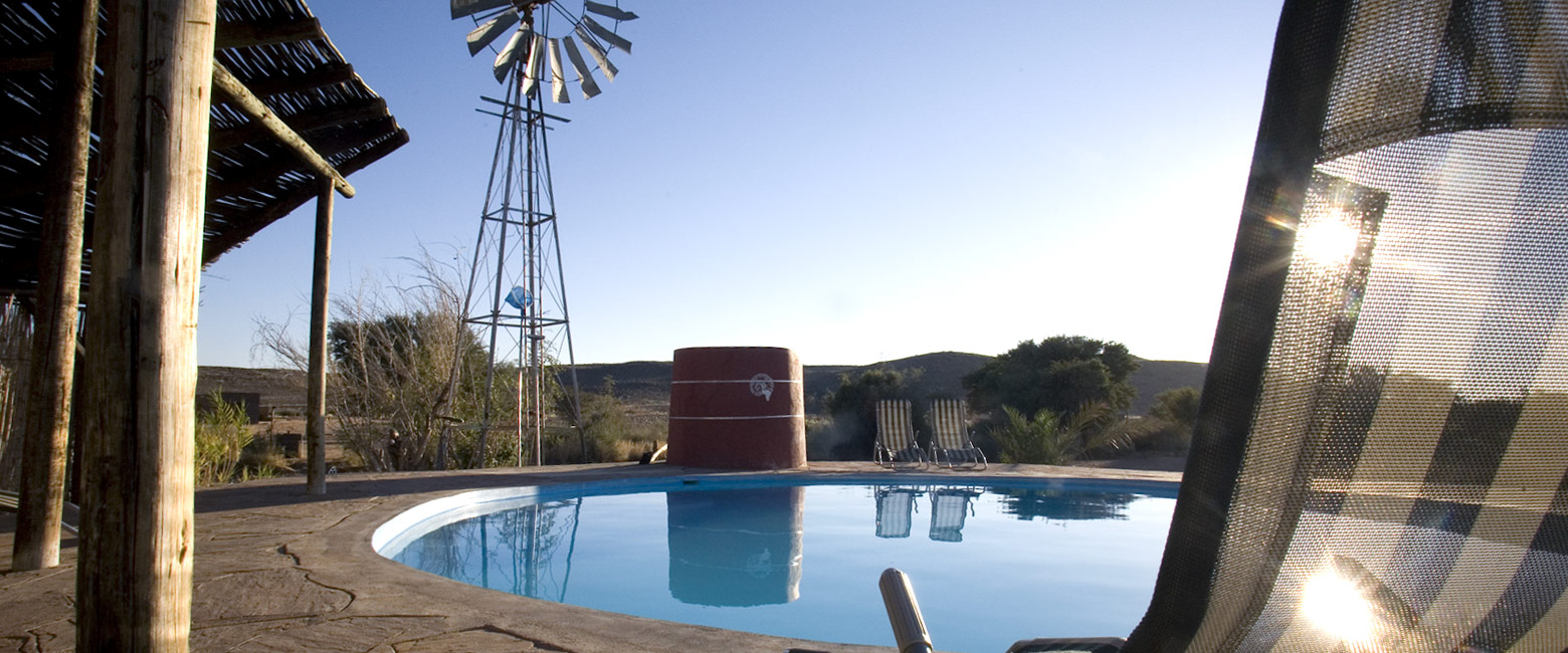 let us know your thoughts about Namibia and we will help you create the perfect safari