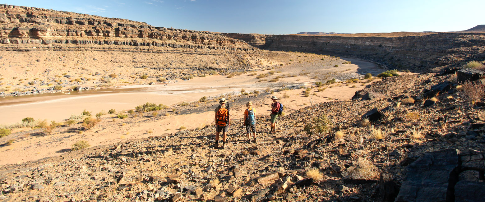 let us know your thoughts about Namibia and we will help you create the perfect safari