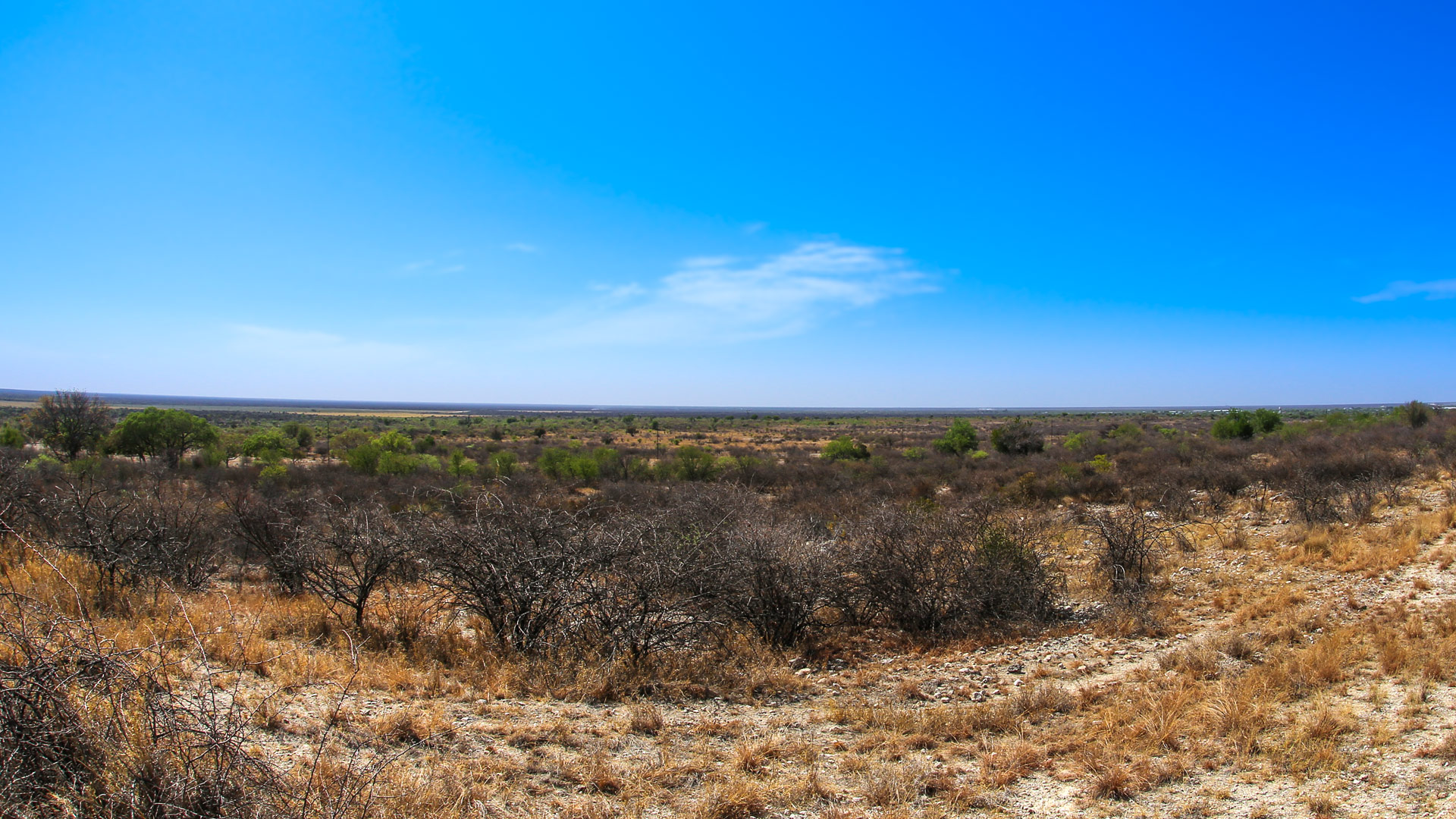 Fiume Bush Camp