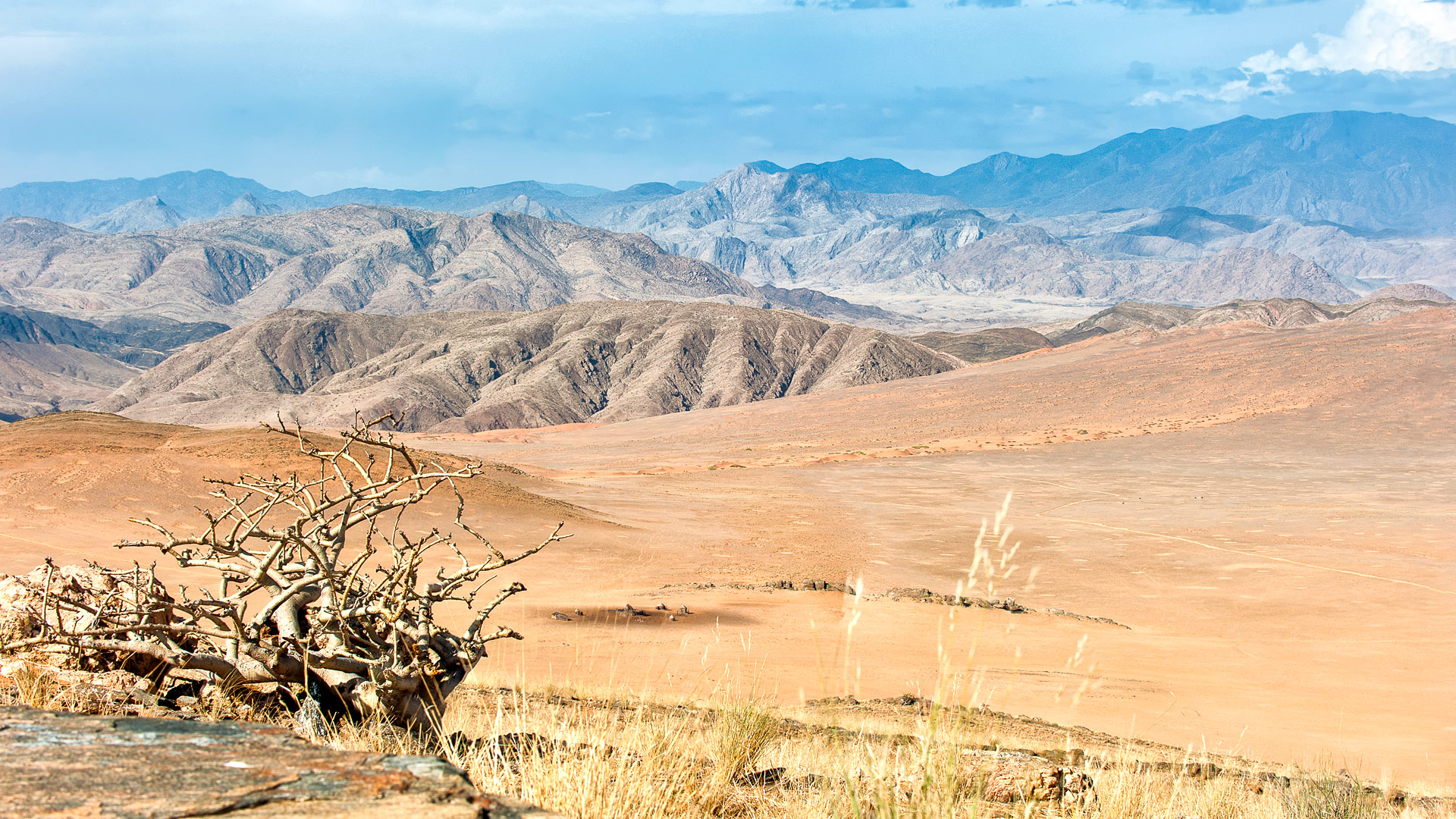 Safari to Kaokaland West