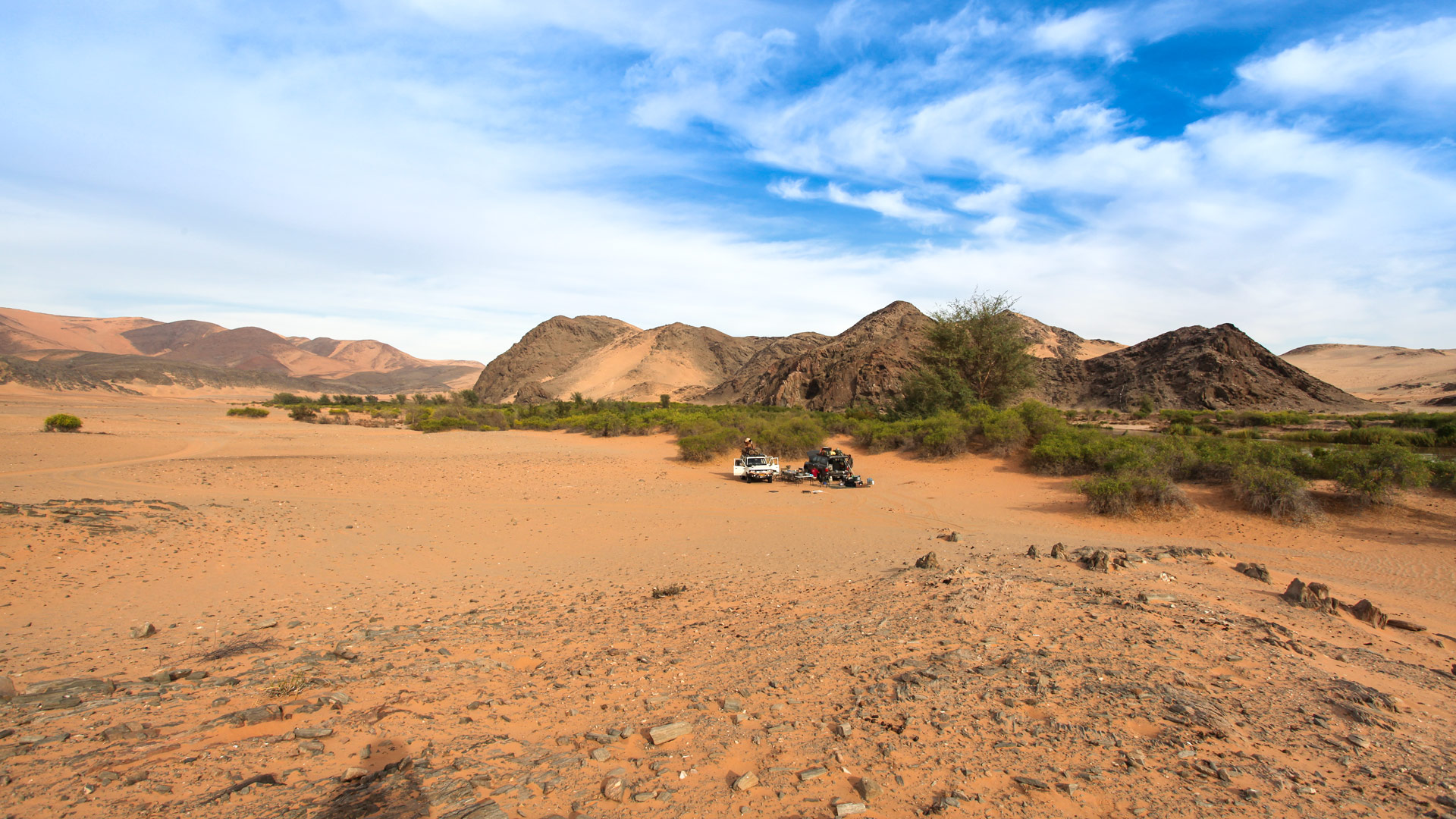 Cafema Bivouac