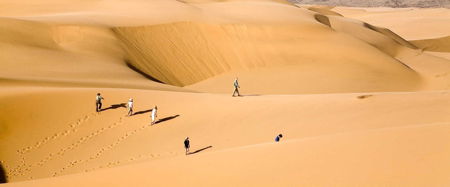 let us know your thoughts about Namibia and we will help you create the perfect safari 