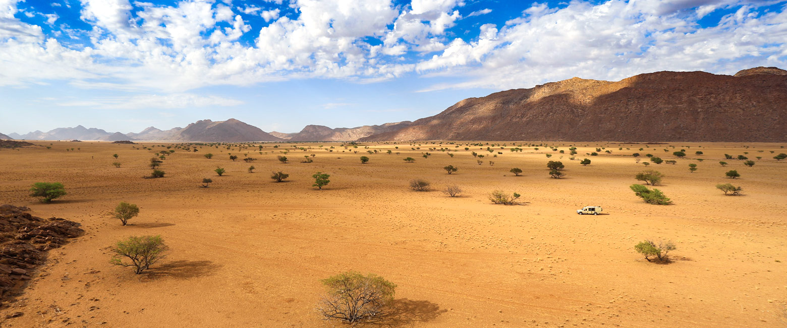 let us know your thoughts about Namibia and we will make sure to deliver the perfect safari