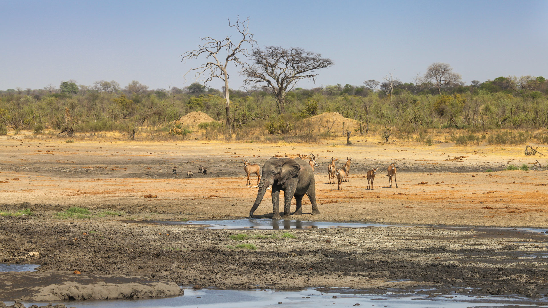 Safari to Khaudum