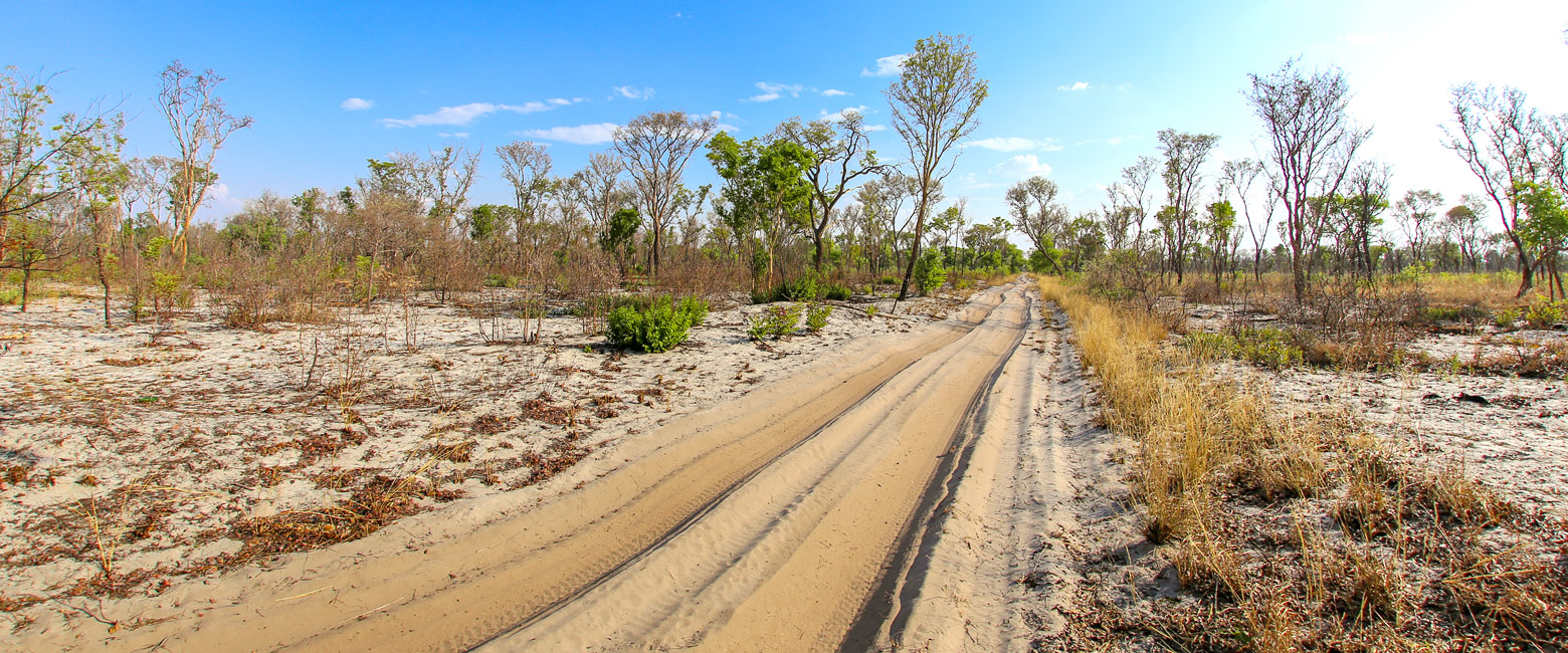 let us know your thoughts about Namibia and we will help you create the perfect safari