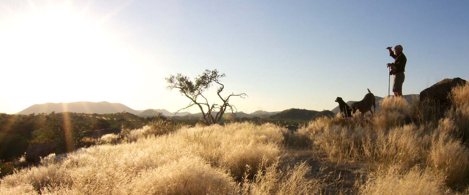 let us know your thoughts about Namibia and we will help you create the perfect safari