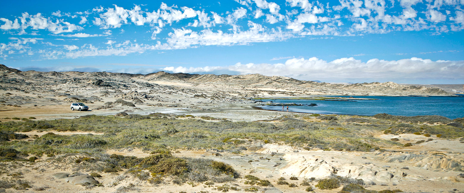 let us know your thoughts about Namibia and we will make sure to deliver the perfect safari