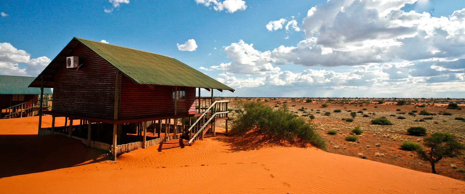 let us know your thoughts about Namibia and we will help you create the perfect safari 