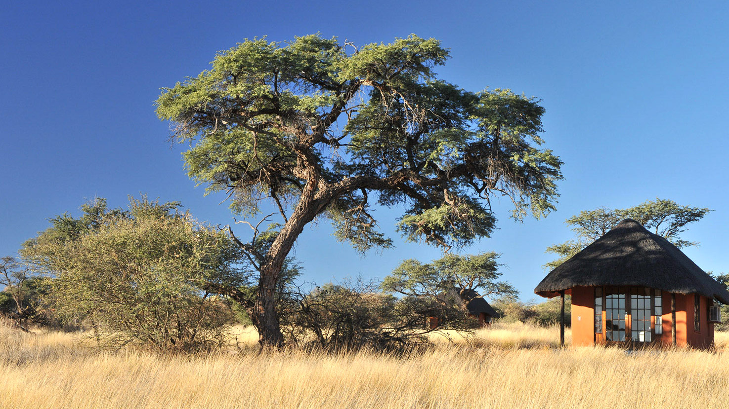 Camelthorn Lodge
