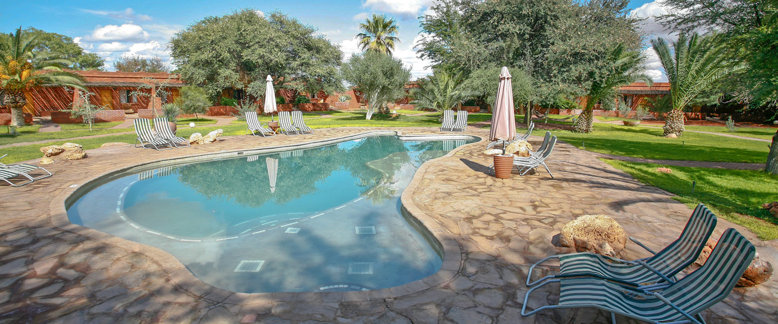 let us know your thoughts about Namibia and we will make sure to deliver the perfect safari 