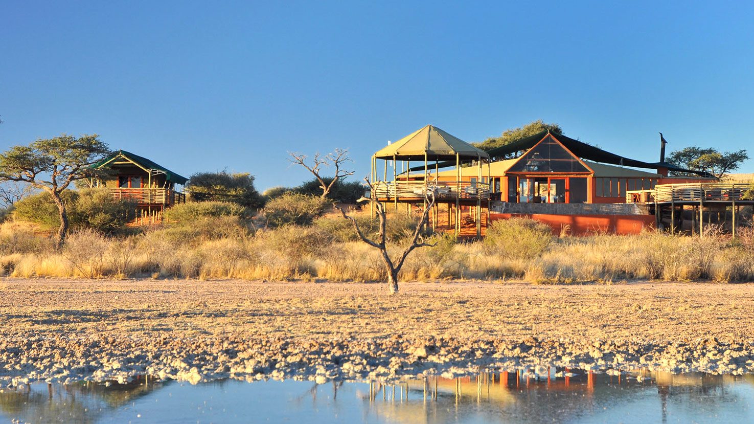 Suricate Lodge