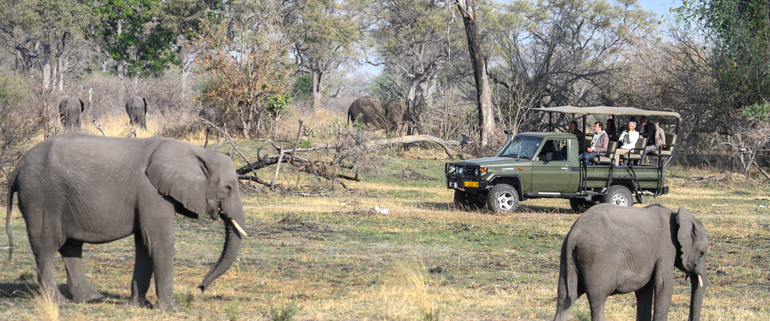 let us know your thoughts about Namibia and we will help you create the perfect safari
