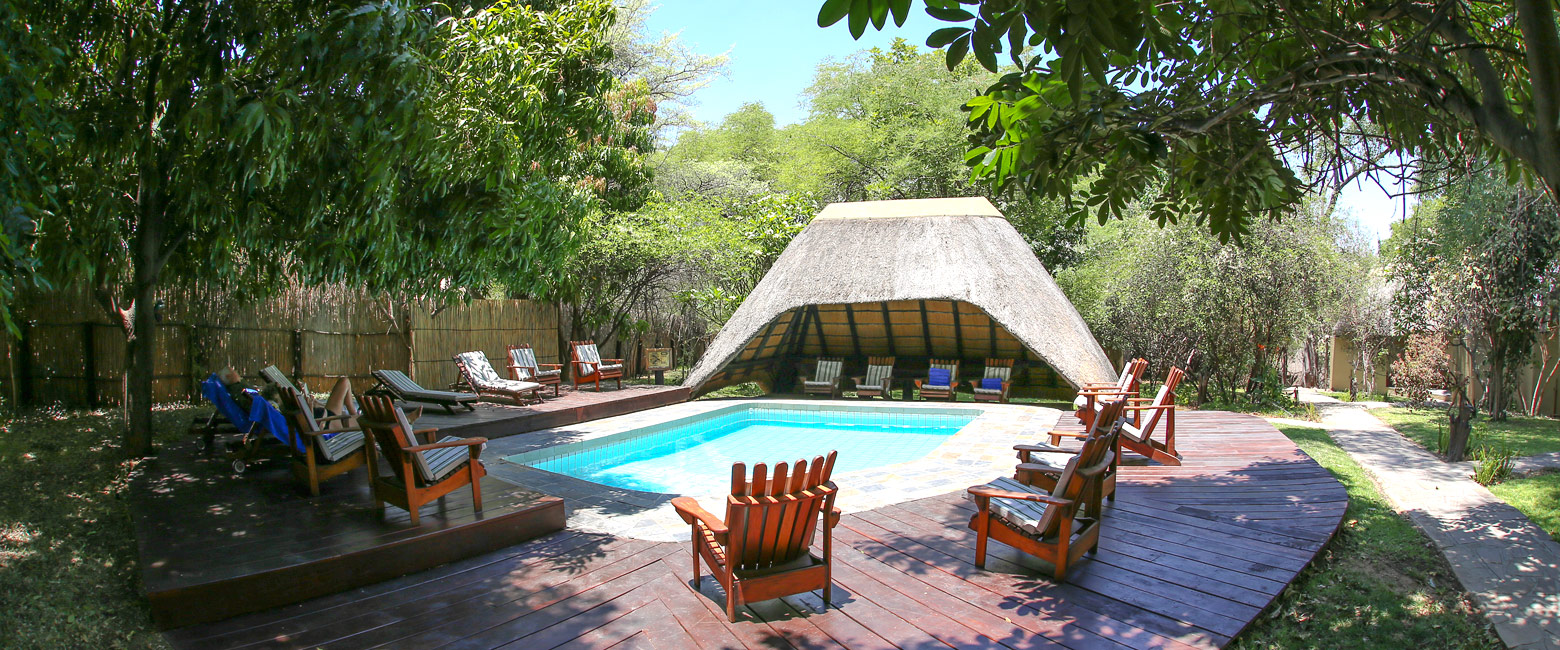 let us know your thoughts about Namibia and we will make sure to deliver the perfect safari 