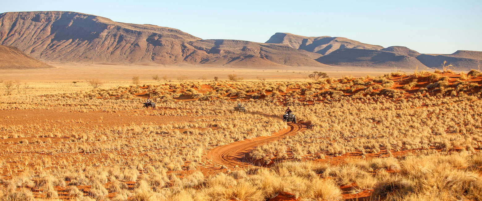 let us know your thoughts about Namibia and we will help you create the perfect safari